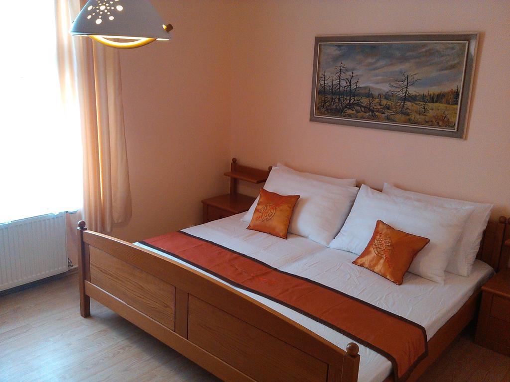 Pension Vidhous 1 Франтишкови-Лазне Экстерьер фото